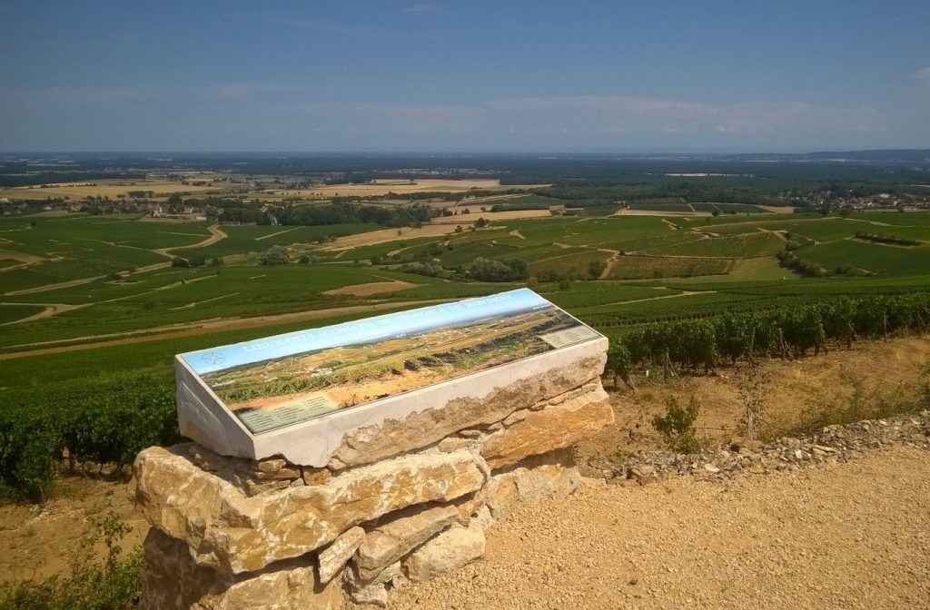 Montagny-les-Buxy : le vignoble du Montagny